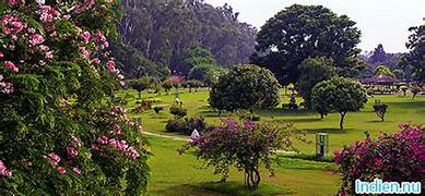Bougainvillea Garden Tour